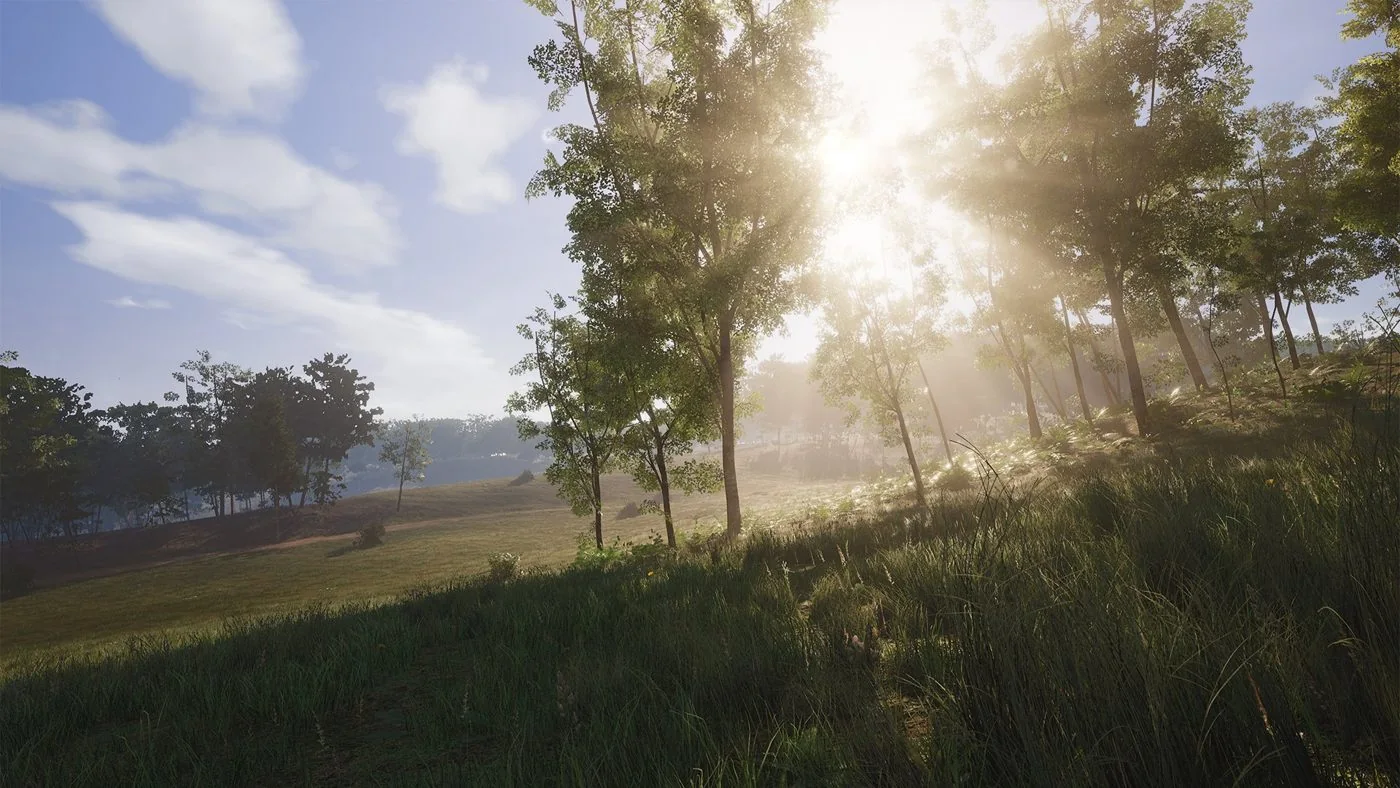 Sunlight through trees on a SCUM hillside