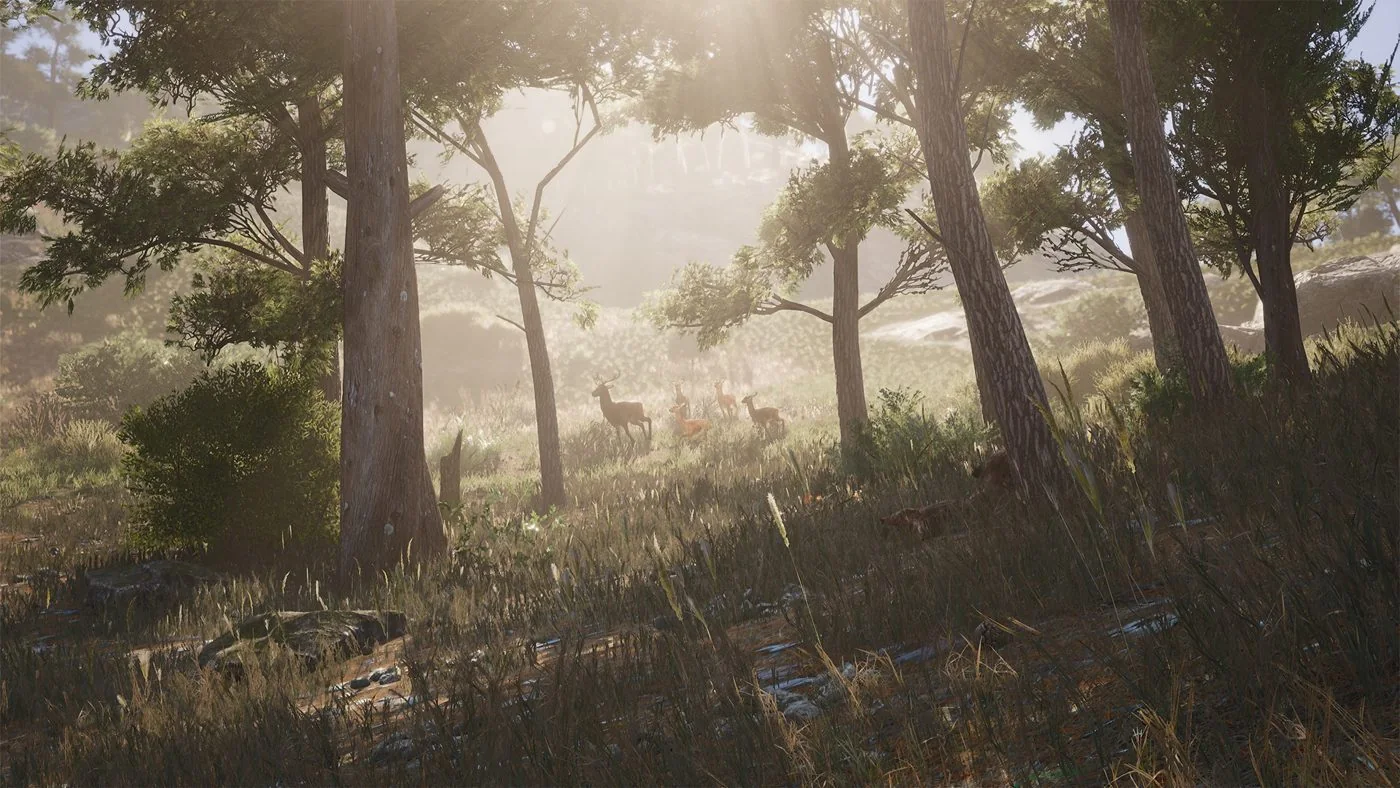 Deer in a sunlit SCUM forest clearing